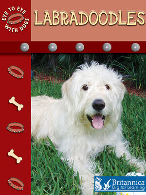 Labradoodles - ebook
